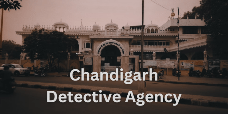 Chandigarh Detective Agency